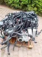 BMW X5 B57D30B G01 G11 G12 G03 MOTOR KOMPLETT Brandenburg - Hennigsdorf Vorschau