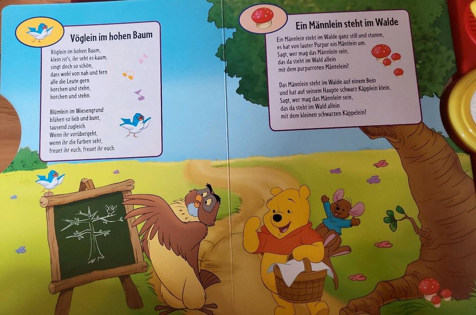 Disney *** Winnie Puuhs großes Sound und Liederbuch *** in Solingen