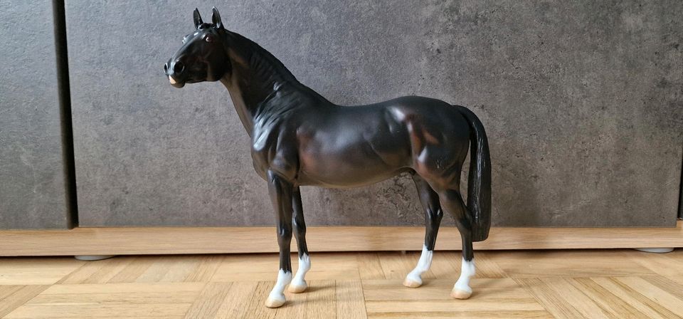 Resin Pferd Tolstoi Brigitte Eberl Trakehner in Siegburg