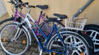 Fahrräder zu verkaufen Bayern - Teunz Vorschau