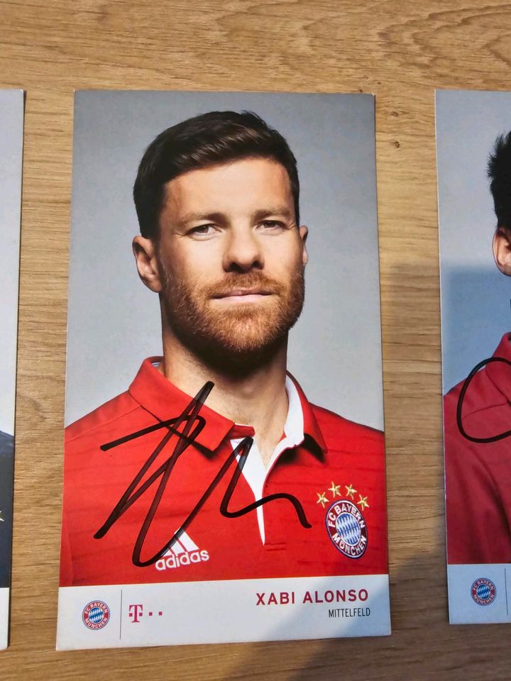 Bayern München 2016/17 Original Hand Autogrammkarten 9 in Nürnberg (Mittelfr)