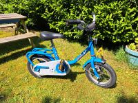 Puky Fahrrad 12 Zoll Kinder Kinderfahrrad blau Fußball Eimsbüttel - Hamburg Eidelstedt Vorschau