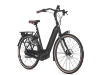 PROBE FAHREN! Gazelle Arroyo C8 HMB Elite Citybike E-Bike HB Hemelingen - Sebaldsbrück Vorschau