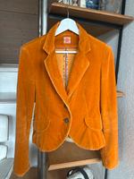 Edler Vintage Samtblazer von IQ / Orange (D36) Baden-Württemberg - Konstanz Vorschau