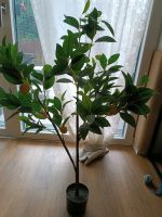 Zitronenbaum künstlich Pflanze Nordrhein-Westfalen - Krefeld Vorschau