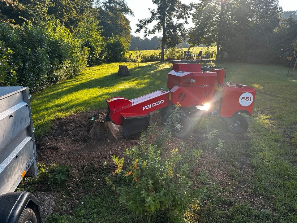 Wurzelstockfräsen Wurzelfräsen Stubbenfräsen Baumstumpffräsen in Detmold