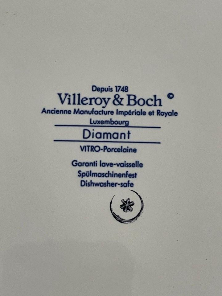 Villeroy & Boch Porzellan Teller Konvolut Küche Sammler deko in Trier