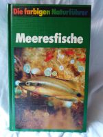 Naturführer Meeresfische Buch Infos Fische Meer Bayern - Trogen Vorschau