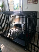 Hundeschutzbox für Angsthunde Nordrhein-Westfalen - Leichlingen Vorschau