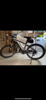 Damen E Bike Giant Dirt E 27,5 Zoll Mountainbike Bayern - Hallstadt Vorschau