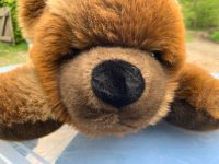 Sigikid Teddybär Schleswig-Holstein - Eckernförde Vorschau