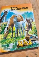 Kinderbücher von 1€ - 2,50€ Niedersachsen - Liebenburg Vorschau