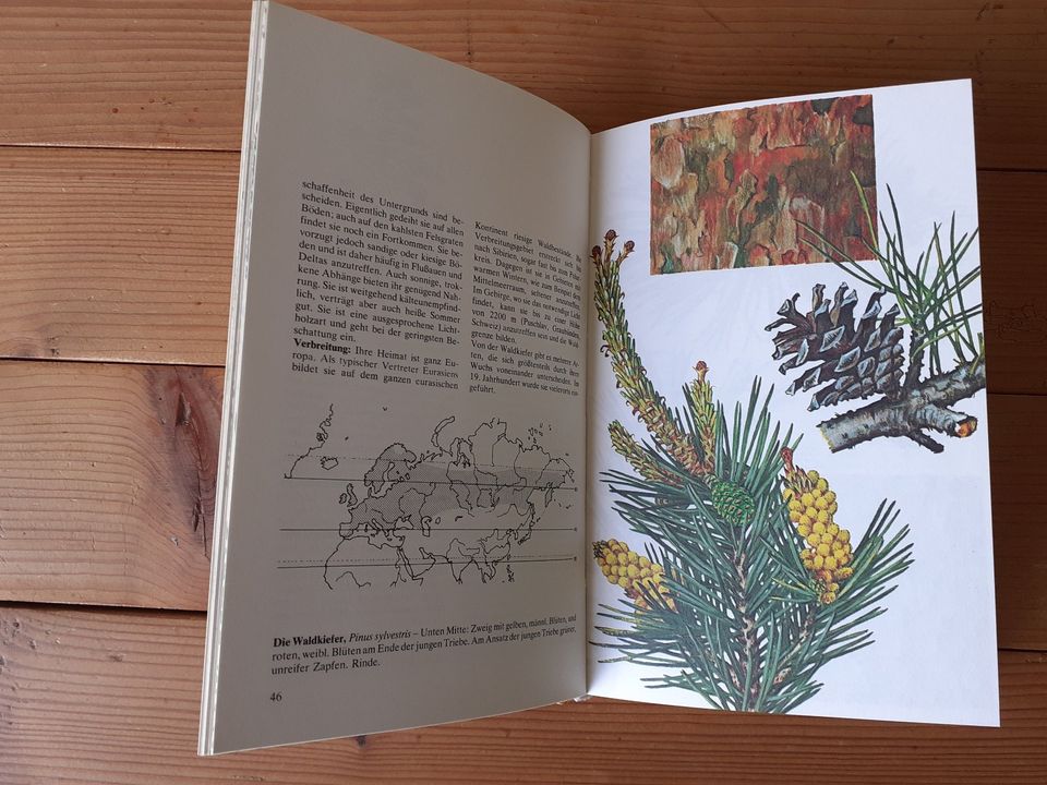 Bäume und Sträucher, BLV - Bestimmungs - Buch, 1978,  wie neu, in Gössenheim