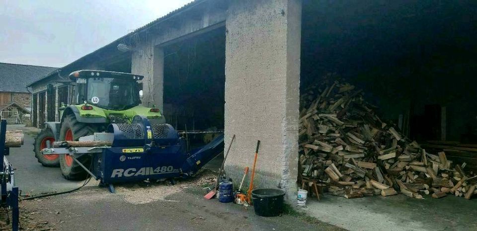 Holzspalten in Jessen (Elster)