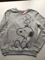 Pullover Snoopy grau Nürnberg (Mittelfr) - Südstadt Vorschau