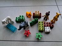 Duplo Tierbaby Zoo Lego inkl. Versand Nordrhein-Westfalen - Lippstadt Vorschau