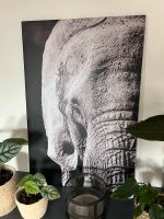 Leinwand mit Elefant 60x90 cm Berlin - Spandau Vorschau