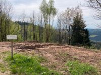 Baugrundstück, Grundstück, Grundstück kaufen Hessen - Hirschhorn (Neckar) Vorschau