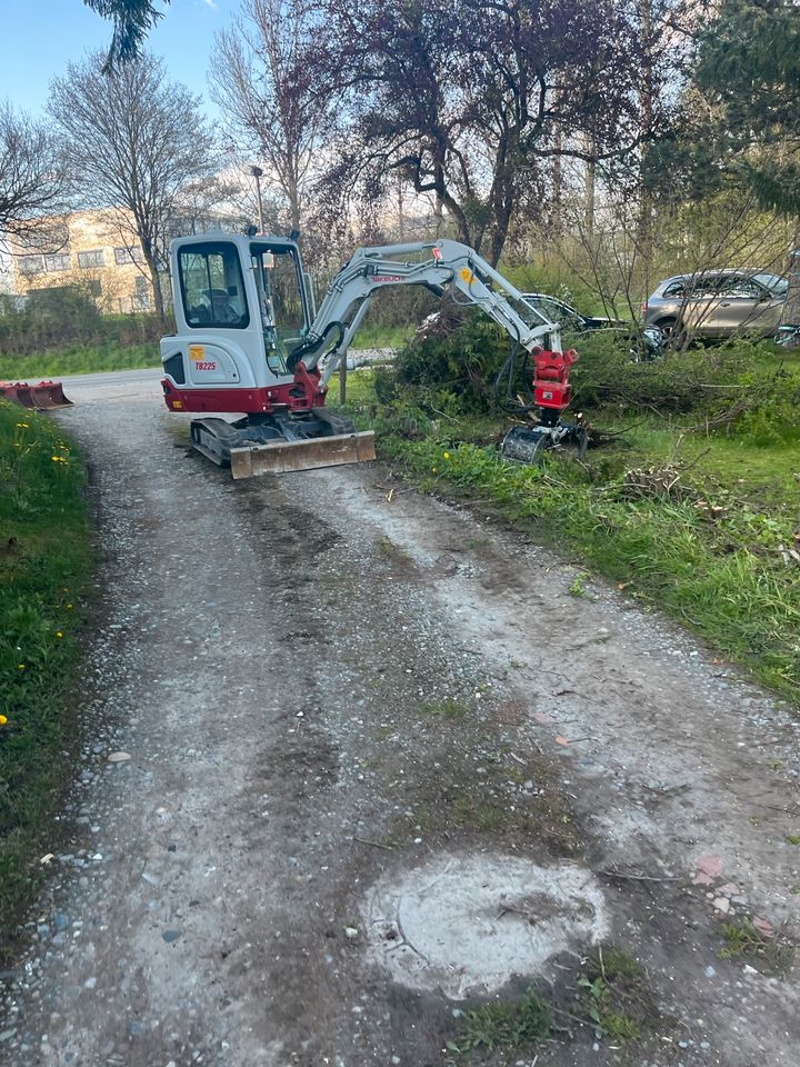 Baggerarbeiten, Aushub, Drainagen legen, Hecken und Bäume roden in Vogt