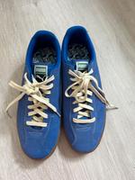 Puma Delphin Herrenschuhe Gr. 43 blau Baden-Württemberg - Mannheim Vorschau