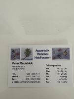 Gutschein im Aquaristikladen Kr. München - Neuried Kr München Vorschau