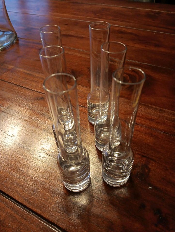 Vintage Wodkaglas Obstlerglas Schnapsglas mit Kühler in Uelzen