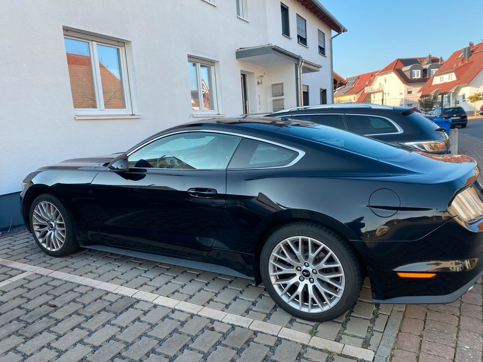 Ford Mustang EcoBoost 2.3, 2017 in Münster