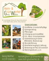 Gartenpflege Grünpflege Beräumung Brennholz Pflanzen Grundstück Sachsen - Löbau Vorschau