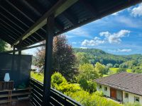 Unterstützung bei Reinigung einer Privatwohnung in Egloffstein Bayern - Egloffstein Vorschau