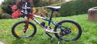 Kinder Mountainbike Bergamont 20 Zoll Bayern - Neumarkt-Sankt Veit Vorschau