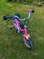 Puky Z2 lovely pink Kinderfahrrad 12 Zoll Fahrrad Niedersachsen - Rinteln Vorschau