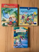 Kinderbücher Dinosaurier und andere Geschichten Rheinland-Pfalz - Vallendar Vorschau