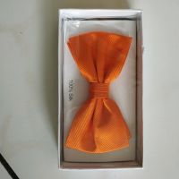 Fliege neu in Orange 5 Stück top verpackt Hessen - Nidda Vorschau