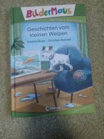 Geschichten von kleinen Welpen Leipzig - Seehausen Vorschau