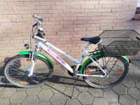 Pegasus Fahrrad 26 Zoll Niedersachsen - Westoverledingen Vorschau