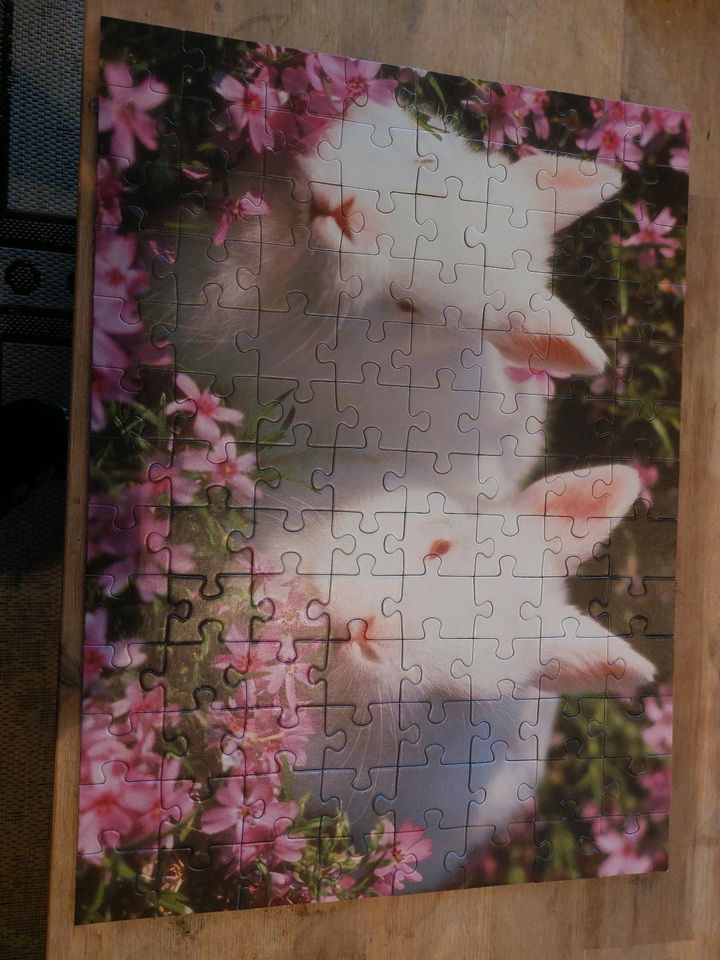 Kinder Puzzle in Weilheim i.OB