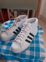 Adidas Schuhe Größe 42 für Damen und Herren Hessen - Bad Homburg Vorschau