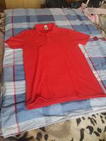 Herren polo shirt 2€ Festpreis ist nicht verhandelbar Brandenburg - Cottbus Vorschau