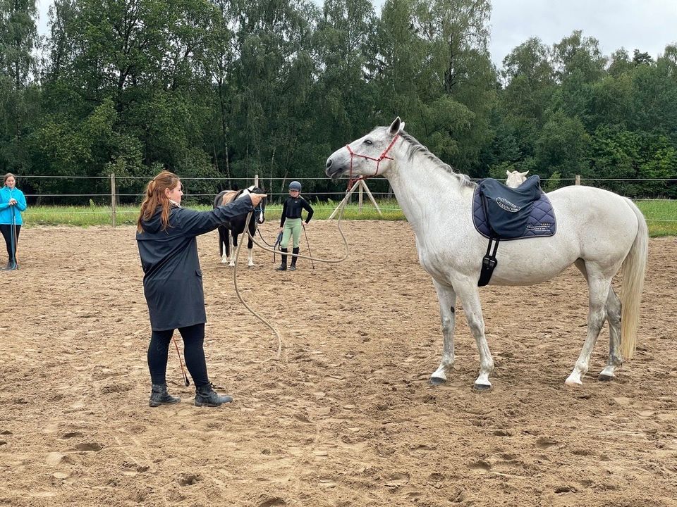 Horsemanship Trainerin - natürliche Kommunikation mit Pferden in Berlin