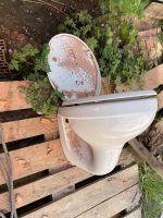 Toilette zu verschenken Nordrhein-Westfalen - Salzkotten Vorschau