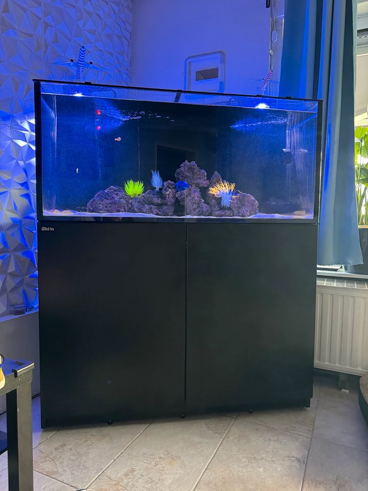 Red Sea Reffer Meerwasser Aquarium in Frankfurt am Main