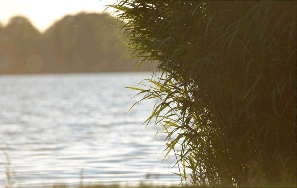 Seegrundstück in Groß Wittensee in Groß Wittensee