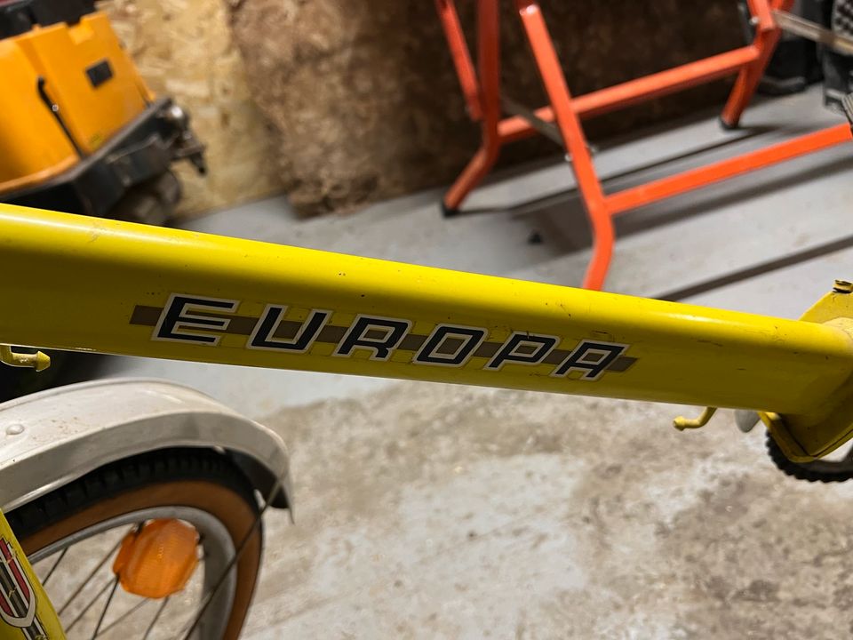 Europa Klapprad 20 Zoll Garagenfund original in Willingen (Upland)