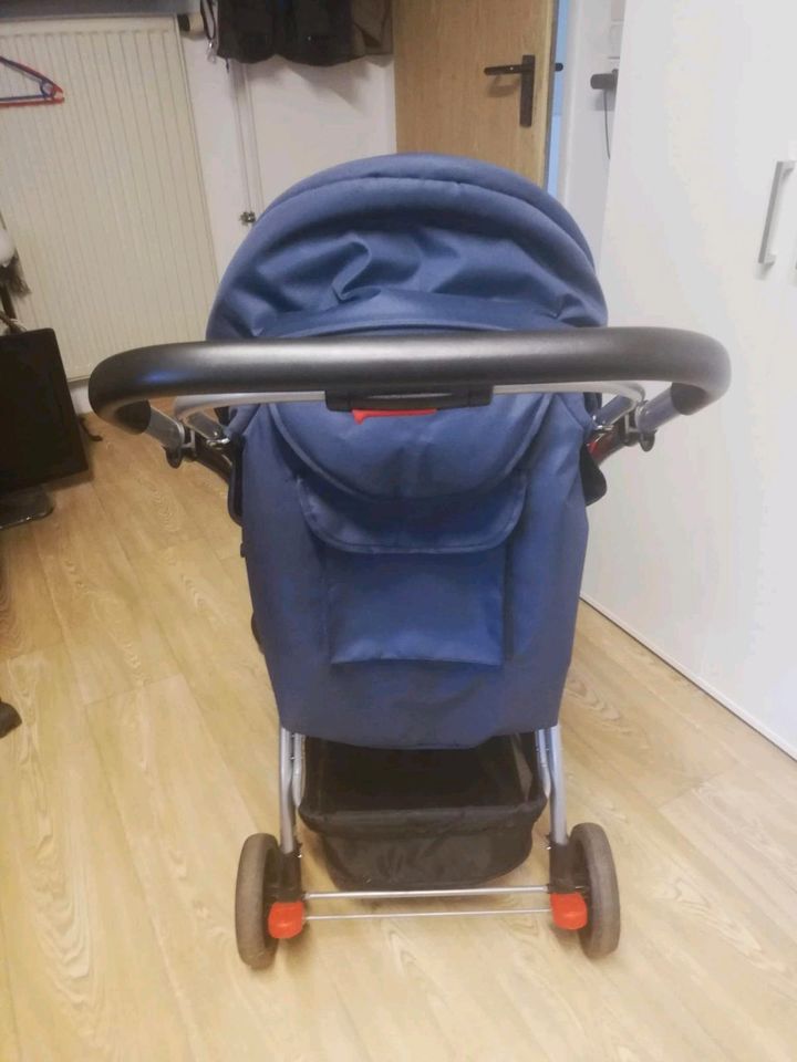 Buggy Froggy Kinderwagen in Gladenbach