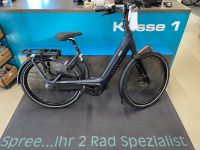 Gazelle Avignon C-8 HMB Wave E-Bike Nordrhein-Westfalen - Mülheim (Ruhr) Vorschau