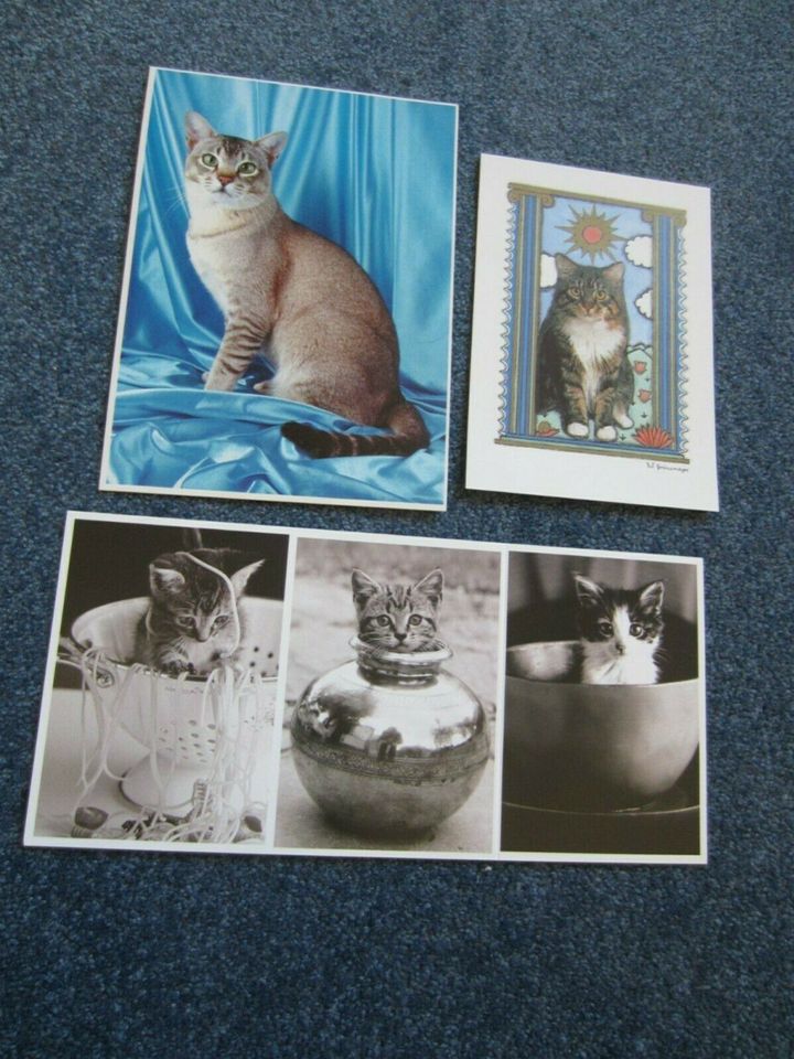 Katzen-Postkarten, diverse Motive, unbenutzt, 27 Stück in Marburg