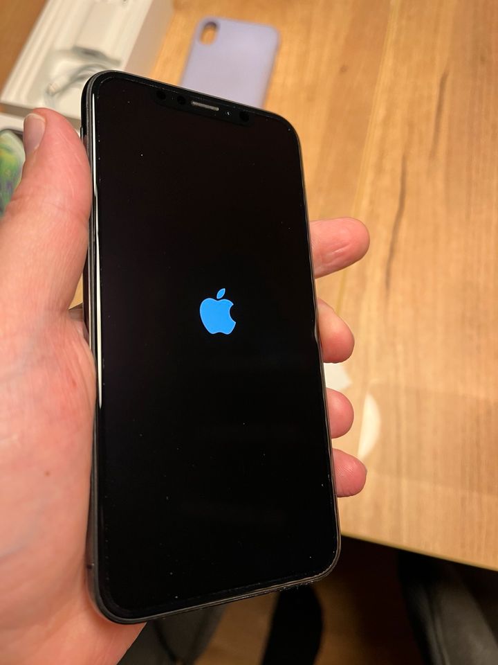 Apple iPhone XS 256GB Space grau in Hamburg