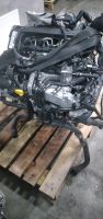 Motor  DFG  DFGA DFGB DFH 2.0TDI  190ps 11tkm Golf  Passat tiguan Berlin - Spandau Vorschau