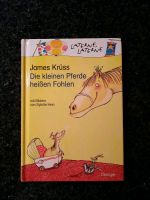 Buch Laterne, Laterne 'Die kleinen Pferde heißen Fohlen' Nordrhein-Westfalen - Hille Vorschau