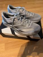 Adidas Adizero Evo SL Laufschuhe Silver 44.5 Neu Rheinland-Pfalz - Mainz Vorschau